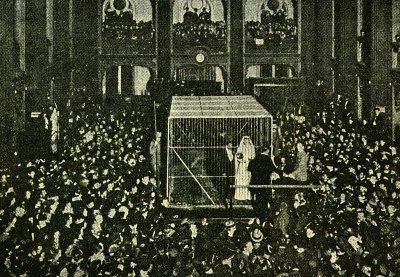 Illustration fra avisen om bryllup i løveburet